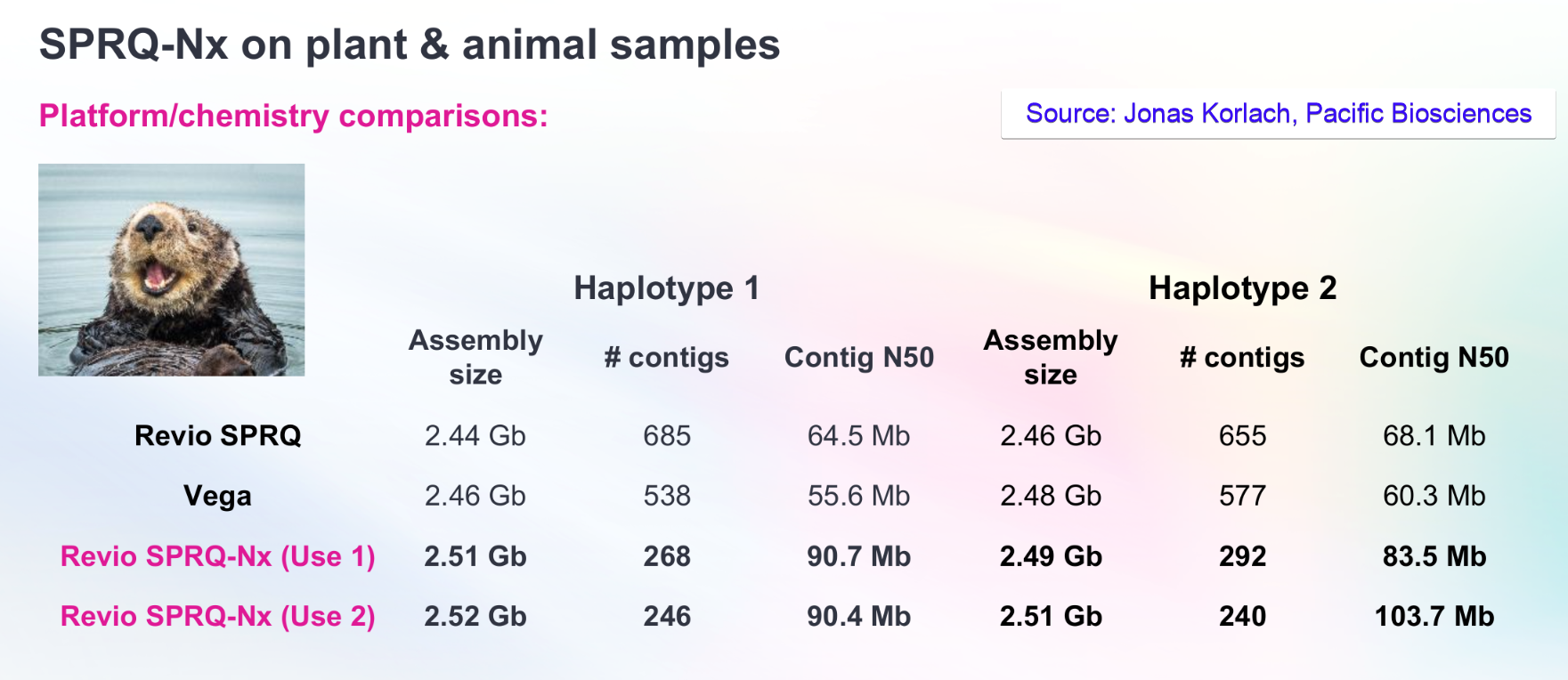 Table graphic comparing SRPQ-Nx-Genome assemblies, haplotype sizes, and contig N50 metrics for samples