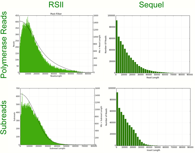 Sequel-RSIIComparisonsPseudoCCS2_600